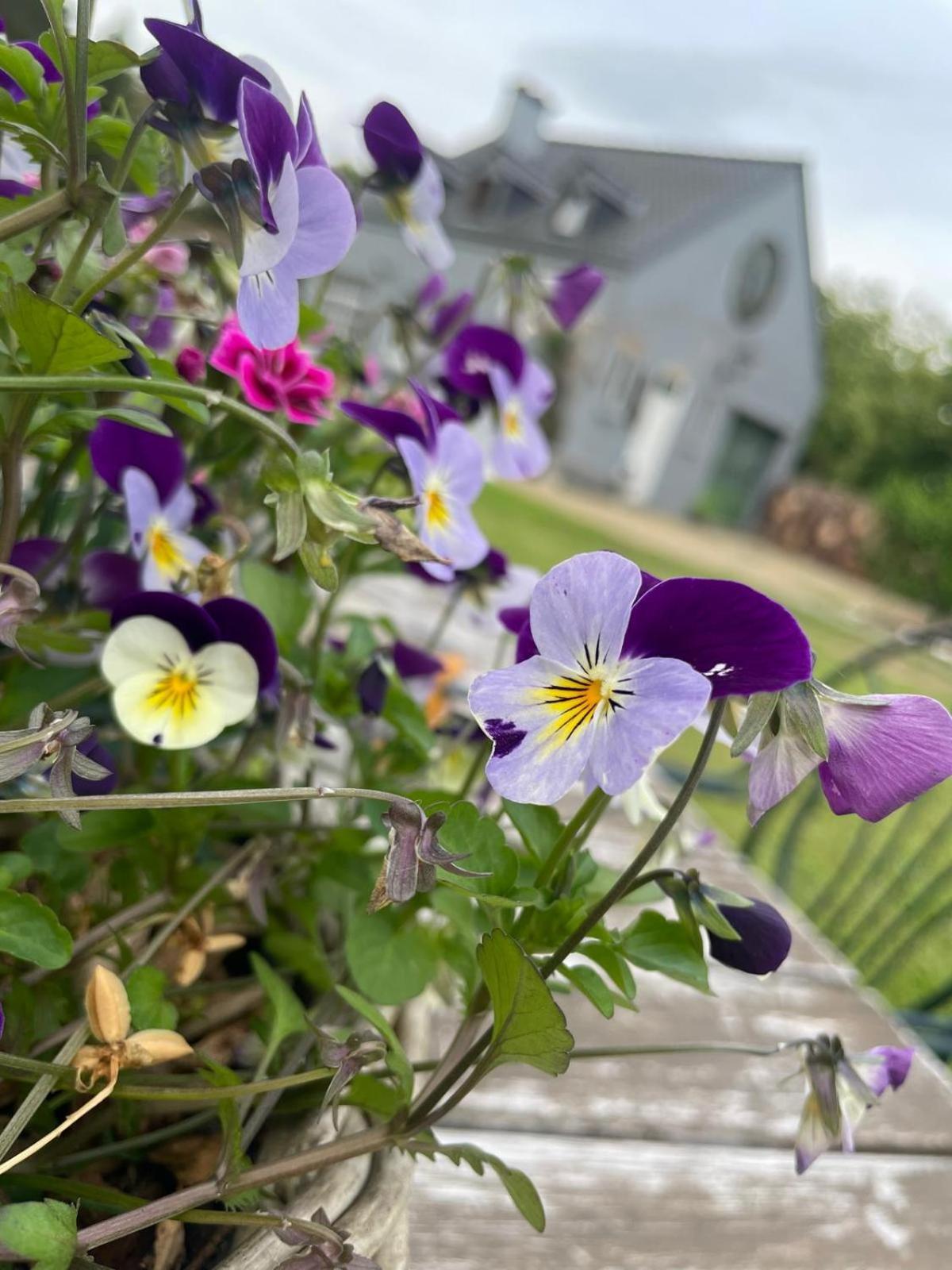 Guesthouse 'T Goed Leven Stokrooie Exteriér fotografie