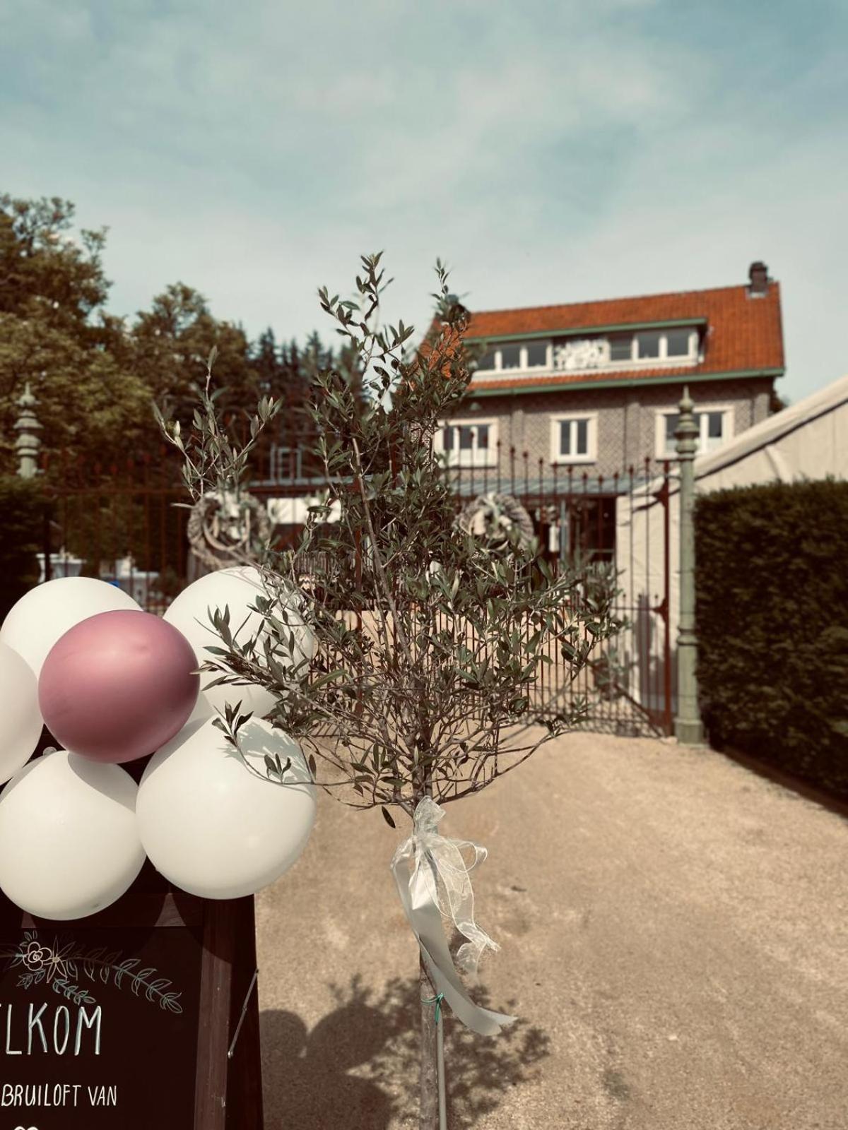 Guesthouse 'T Goed Leven Stokrooie Exteriér fotografie